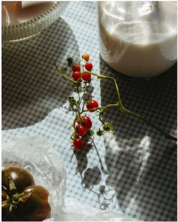 Still life of cherry tomatoes on vine, brown tomatoes, and a jug of milk on a blue and white checkered tablecloth.