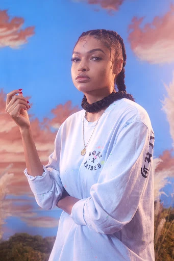 Portrait of a stylish adult female with braided hair, wearing a printed long-sleeve shirt, against a stylized sky and grass background.