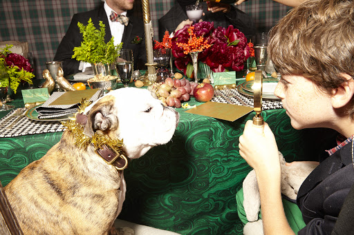 Festive scene with a decorated bulldog wearing a gold collar, a young boy holding a magnifying glass, and an elegant table setting.