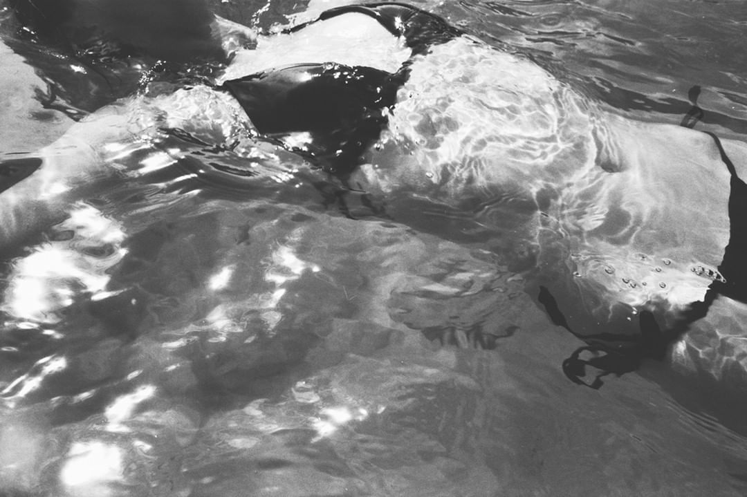 Black and white underwater photograph of a person floating in a pool, captured with strong ripples and surface reflections.