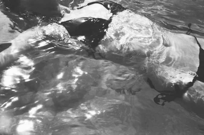 Black and white underwater photograph of a person floating in a pool, captured with strong ripples and surface reflections.
