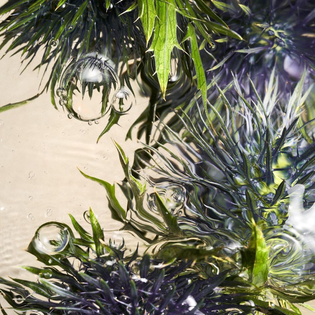 Underwater photograph showcasing green aquatic plants with delicate water bubbles clinging to them, creating a serene natural scene.