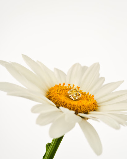 Close-up of a yellow gemstone on a white daisy, emphasizing its clarity and setting against a bright, clean background.