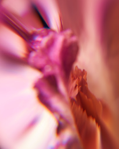 Macro photograph featuring pink, orange, and white color gradients with soft textures and a blurred, abstract aesthetic.