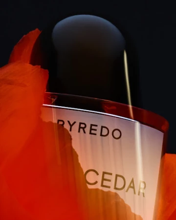Close-up of a Byredo Cedar perfume bottle with orange petals against a black background, showcasing its sleek design and packaging.