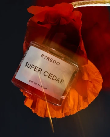 Byredo Super Cedar perfume bottle nestled inside a vibrant red poppy flower against a dark background