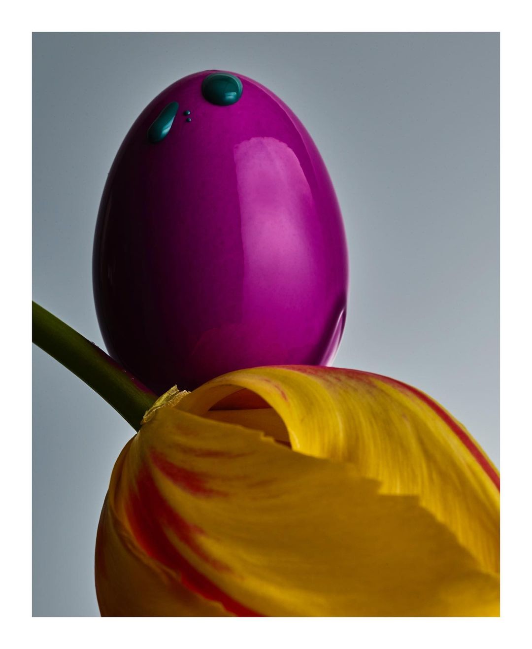 Close-up still life shows a purple, glossy egg with green drops on top of a yellow tulip with red accents, against a gradient background.