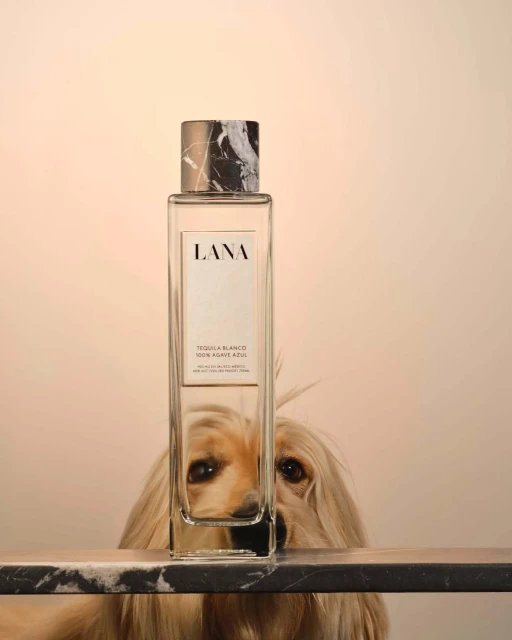 Studio shot of a bottle of Lana Tequila Blanco in front of a golden retriever peeking over a marble bar top with a peach background.