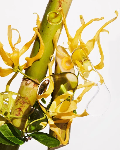 Close-up of a light-green stalk with yellow flowers and water droplets on a white background, showcasing nature and purity.