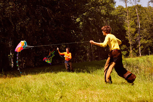 Two people fly colorful kites in a grassy field near a dark forest on a sunny day, capturing a joyful outdoor activity.