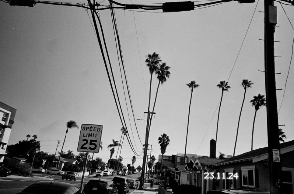 Black and white street view features palm trees, overhead power lines, a 'Speed Limit 25' sign, parked cars, and residential buildings.