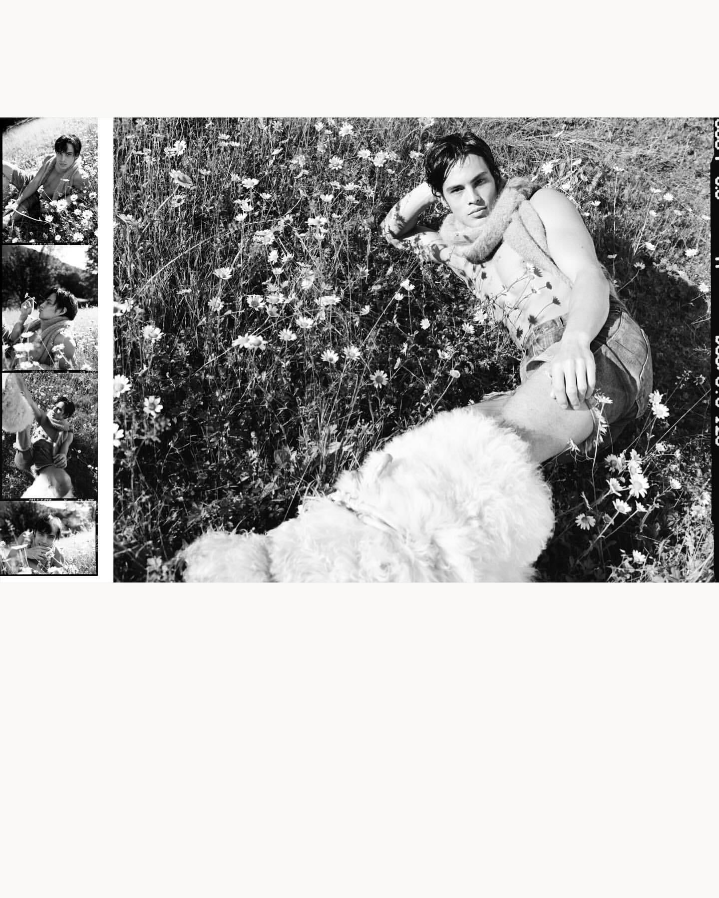 Black and white portrait of a man lying in a field of flowers, with a dog laying next to him on a sunny day in a rural environment.