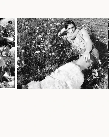 Black and white portrait of a man lying in a field of flowers, with a dog laying next to him on a sunny day in a rural environment.