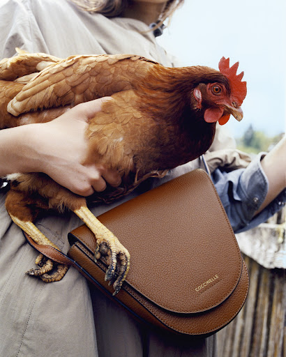 Woman holding a brown hen and brown leather purse in an outdoor setting with natural light, showcasing a stylish and rural aesthetic.
