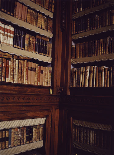 Interior library featuring shelves filled with old books; warm lighting and dark wooden shelves contribute to a vintage aesthetic.