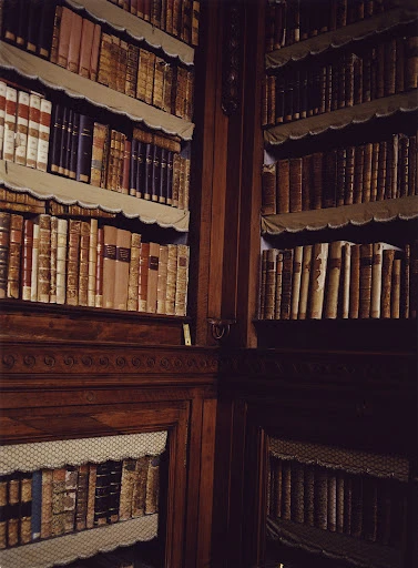 Interior library featuring shelves filled with old books; warm lighting and dark wooden shelves contribute to a vintage aesthetic.
