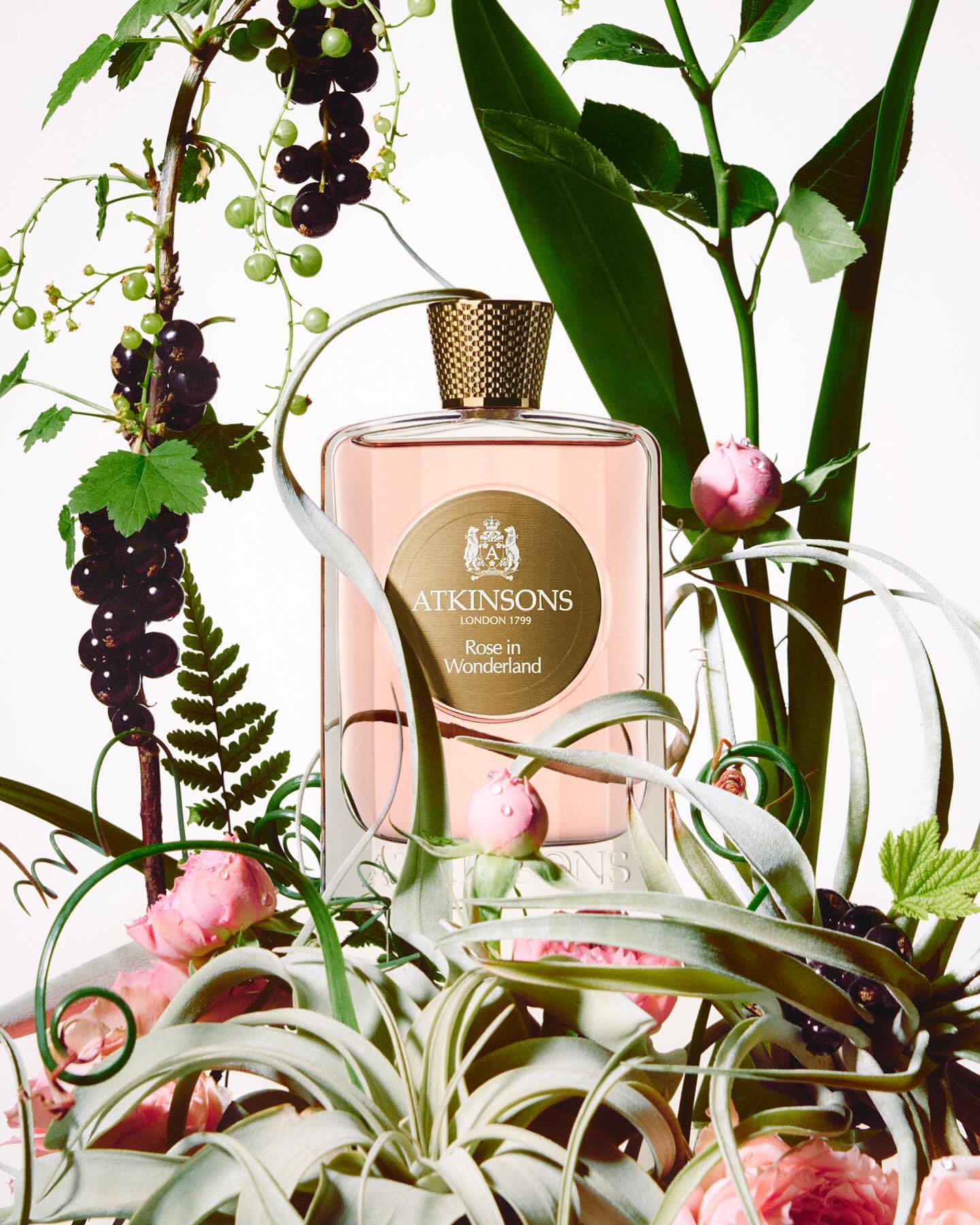 Atkinson's London 1799 Rose in Wonderland perfume bottle surrounded by greenery and pink flower buds on a white backdrop.