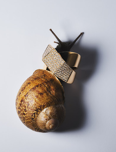 Macro photo of a brown snail with a gold cuff bracelet and a rhinestone bracelet attached to its shell on a white background.