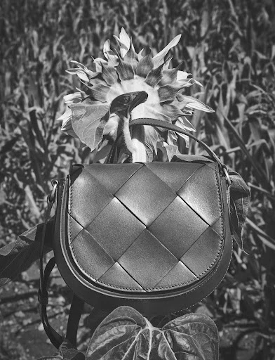Close-up of a woven leather handbag placed on top of a large sunflower in a field. The photo is black and white.