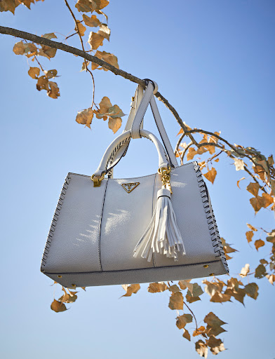 Fashion shot: An ivory-colored handbag with a tassel and gold hardware hangs from a tree branch against a gradient blue sky backdrop.
