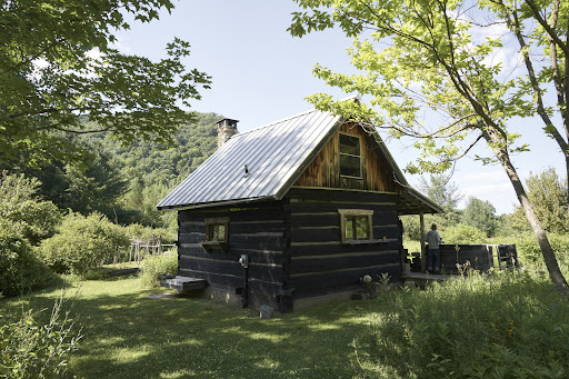Rustic log cabin nestled in a lush green landscape, featuring a metal roof, stone chimney, and an adult standing on the porch.
