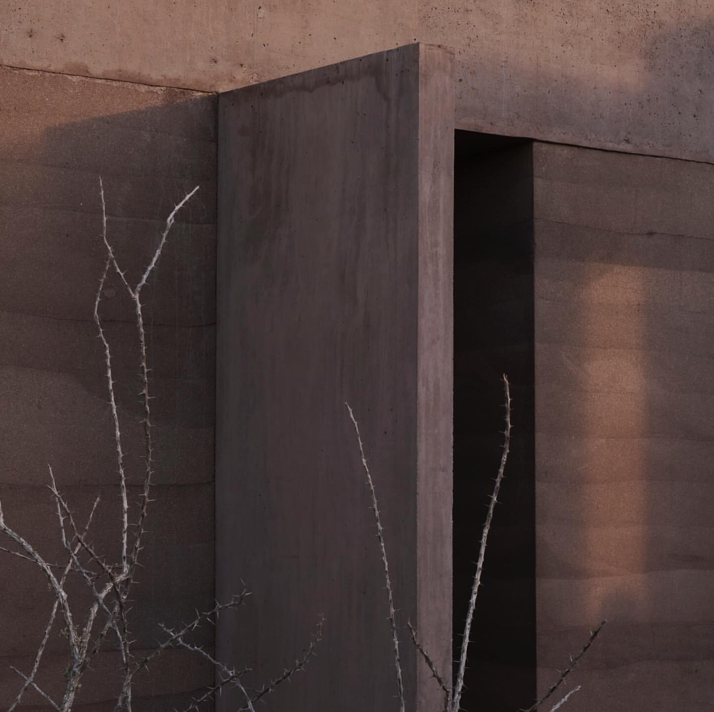 Minimalist architecture featuring a modern building facade with raw concrete textures, clean lines, and a dry, bare tree in the foreground.