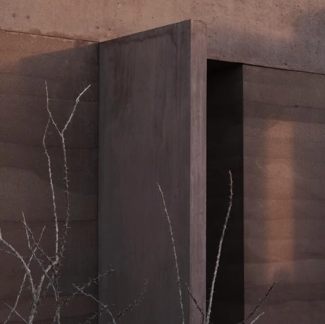 Minimalist architecture featuring a modern building facade with raw concrete textures, clean lines, and a dry, bare tree in the foreground.