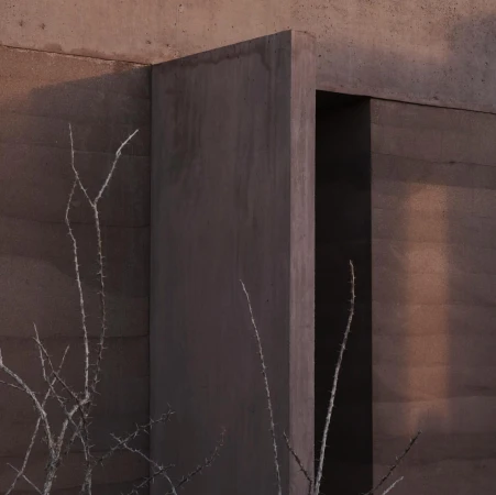 Minimalist architecture featuring a modern building facade with raw concrete textures, clean lines, and a dry, bare tree in the foreground.