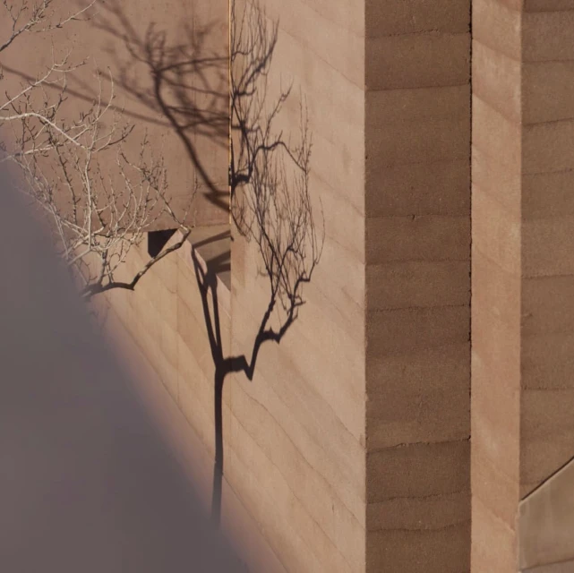 Close-up of a beige wall with shadows of a bare tree branch, showing rough texture and geometric lines, illuminated by natural light.
