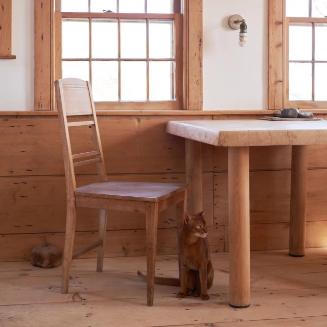 Indoor shot featuring a cat seated next to a wooden chair and table in a rustic room with natural light streaming through the windows.