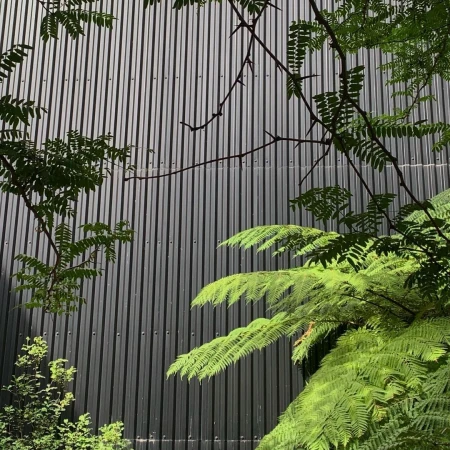 Green fern fronds against a grey, corrugated metal wall create a natural, textured contrast in an outdoor environment.