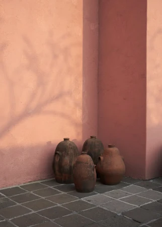 Five terracotta pots arranged on a tiled floor against a textured peach wall with a tree shadow, creating a warm and rustic aesthetic.