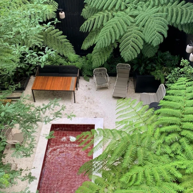 Outdoor lounge area featuring a red-tiled pool, cushioned furniture, and lush green ferns, creating a tropical and relaxing backyard space.