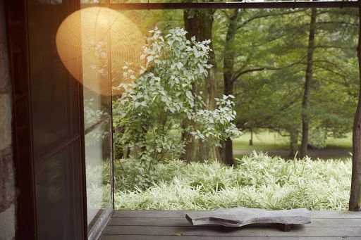 View from a porch onto a verdant garden with sunlight filtering through the trees, creating a tranquil and inviting outdoor scene.
