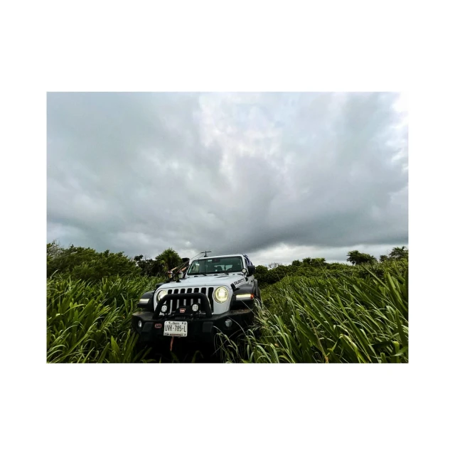 An off-road Jeep Wrangler navigates through tall green grass under a cloudy sky, headlights on, for an outdoor automotive adventure.