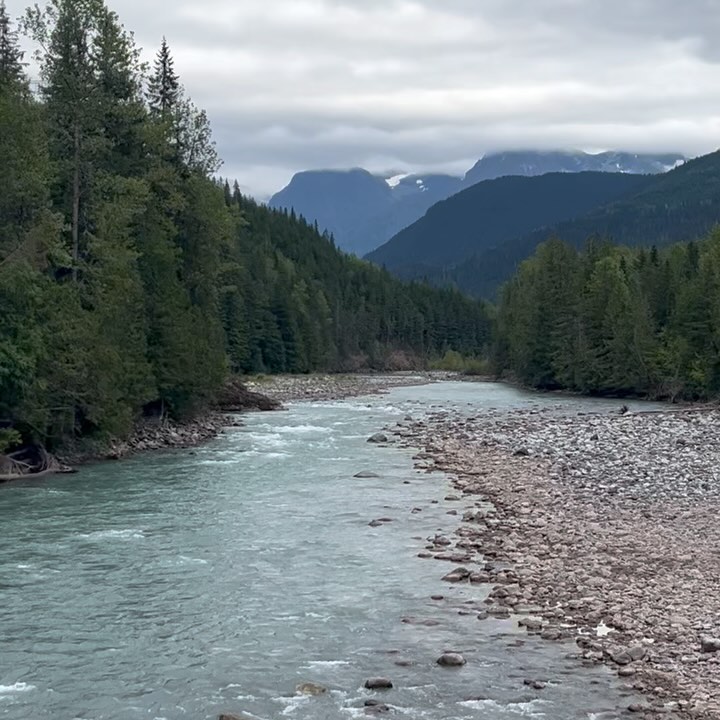 Scenic view of a wide river flowing through a valley surrounded by a dense forest and distant mountains under a cloudy sky.