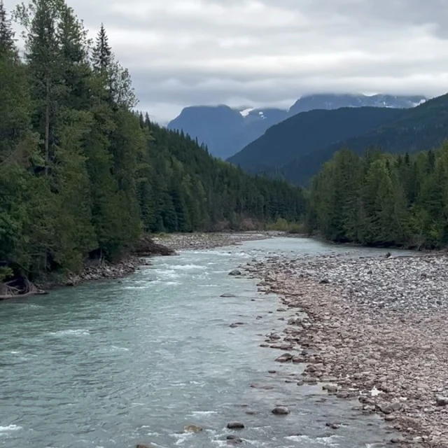 Scenic view of a wide river flowing through a valley surrounded by a dense forest and distant mountains under a cloudy sky.