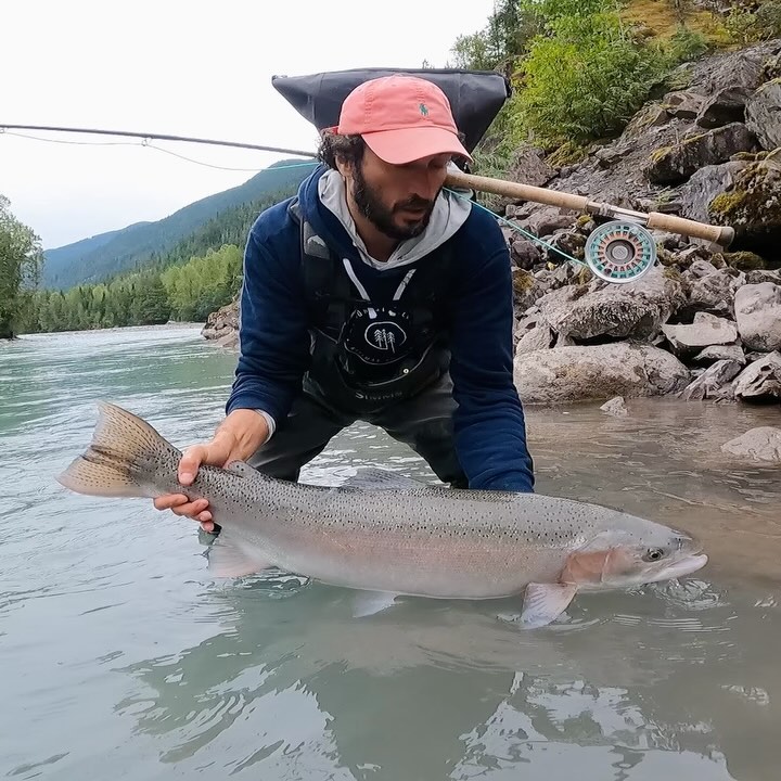 Angler holding a large trout in a clear river with a background of mountains and trees, showcasing outdoor fishing and nature.