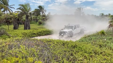 White pickup truck driving through a puddle on a dirt road with palm trees and green vegetation in the background on a sunny day.