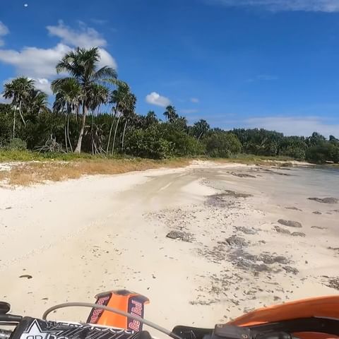Scenic beach landscape with palm trees, blue sky, and a motorbike in the foreground, capturing a sense of adventure and tropical exploration.