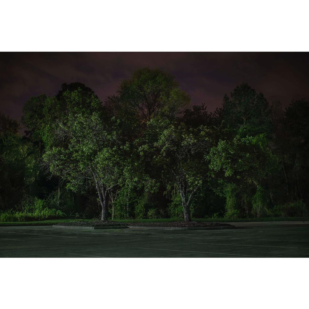 Night scene featuring a dark, empty parking lot with a lush green tree line against a dark sky.