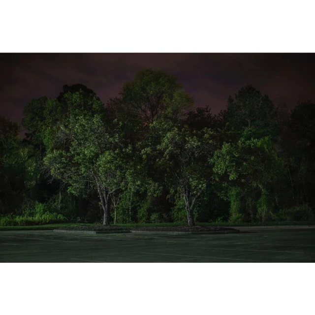 Night scene featuring a dark, empty parking lot with a lush green tree line against a dark sky.