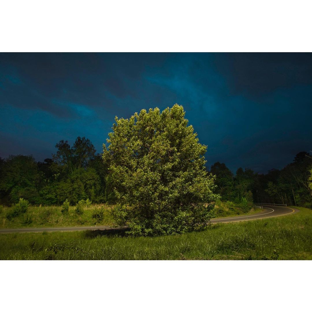 Scenic landscape featuring a large tree in a grassy field with a winding road, set against a backdrop of a dark, cloudy sky and trees.