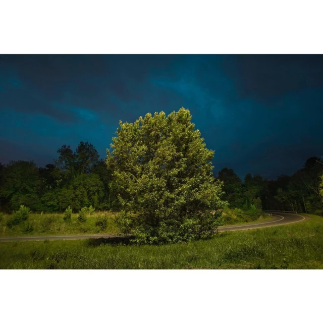 Scenic landscape featuring a large tree in a grassy field with a winding road, set against a backdrop of a dark, cloudy sky and trees.