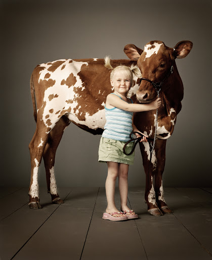 Young child embraces a brown and white spotted cow in a studio setting, showcasing a gentle bond and creating a heartwarming visual narrative.