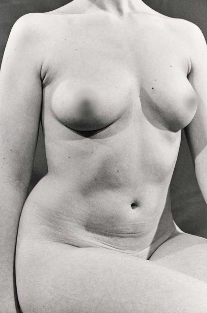 Monochrome close-up studio shot of an adult female torso, emphasizing skin texture and anatomical details under soft, diffused lighting.