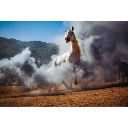Magnificent white horse galloping through a dusty field surrounded by dramatic smoke and mountainous backdrop under a clear blue sky.