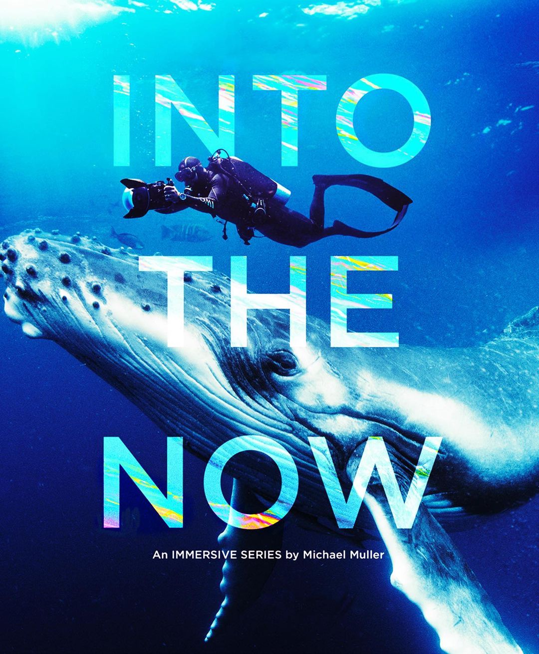 Underwater photography shows a scuba diver with a camera near a whale in the ocean with the text 'Into The Now' overlaid.