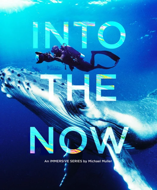 Underwater photography shows a scuba diver with a camera near a whale in the ocean with the text 'Into The Now' overlaid.