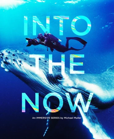 Underwater photography shows a scuba diver with a camera near a whale in the ocean with the text 'Into The Now' overlaid.